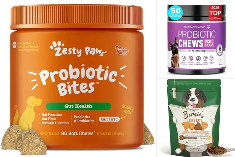 Detailed view of Best Probiotics For Dogs Constipation