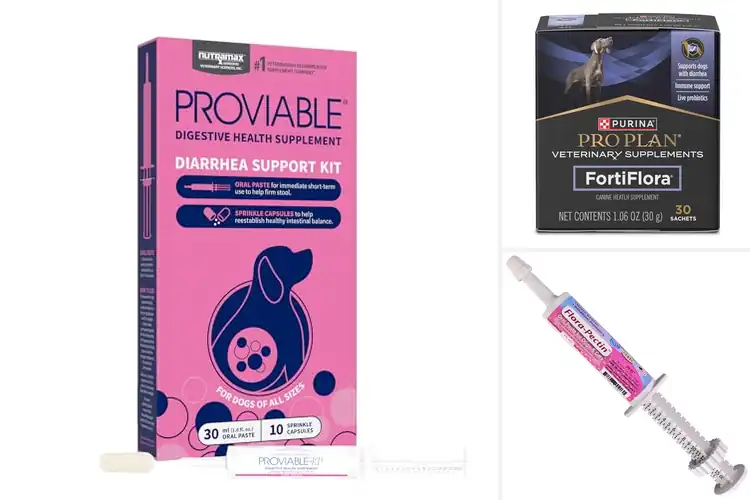 Detailed view of Best Probiotics For Dogs Diarrhea