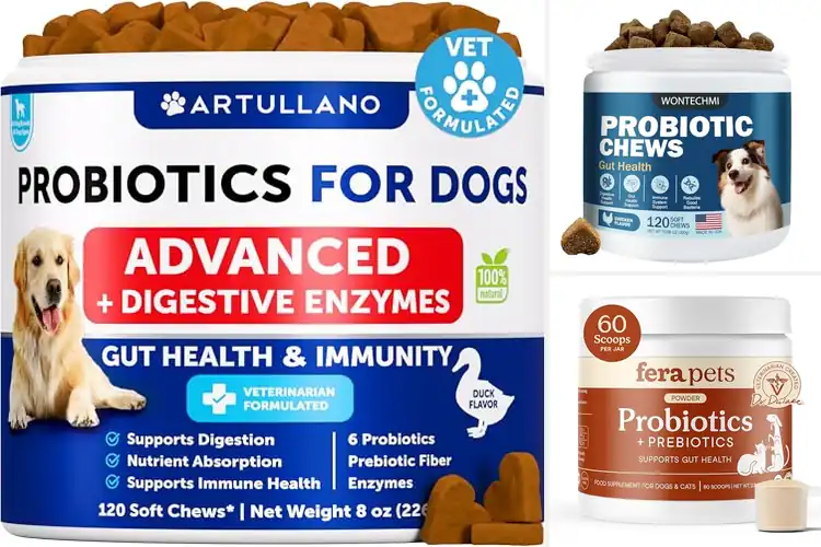 Detailed view of Best Probiotics For Dogs Immunity