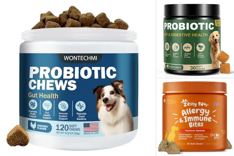 Detailed view of Best Probiotics For Dogs Itchy Skin