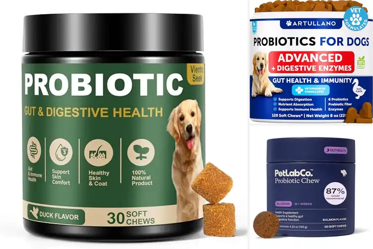 Detailed view of Best Probiotics For Dogs Yeast