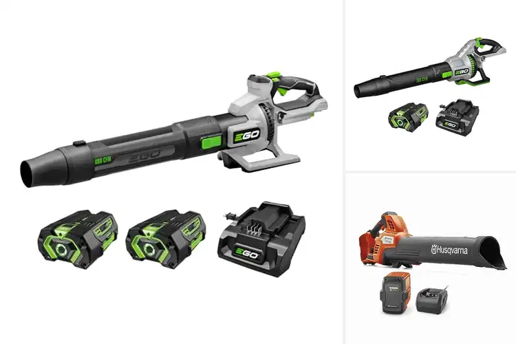 Detailed view of Best Professional Leaf Blowers