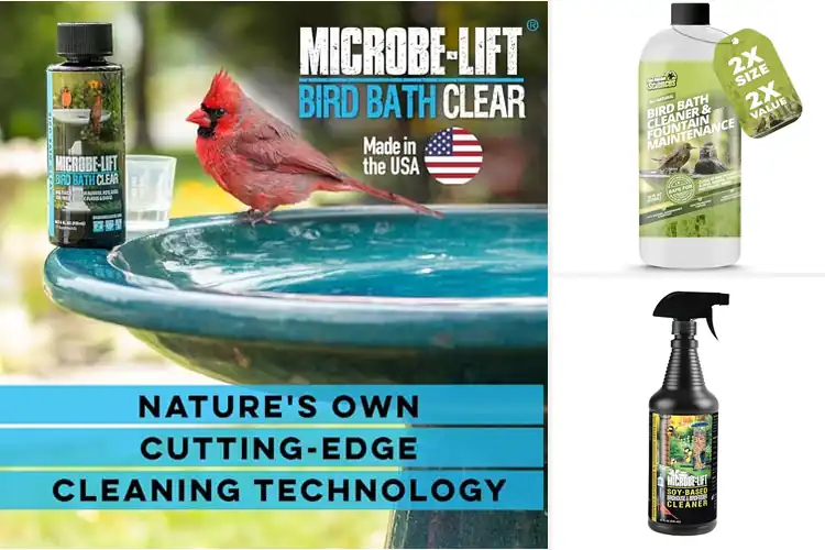 Detailed view of Best Safe Birdbath Cleaners