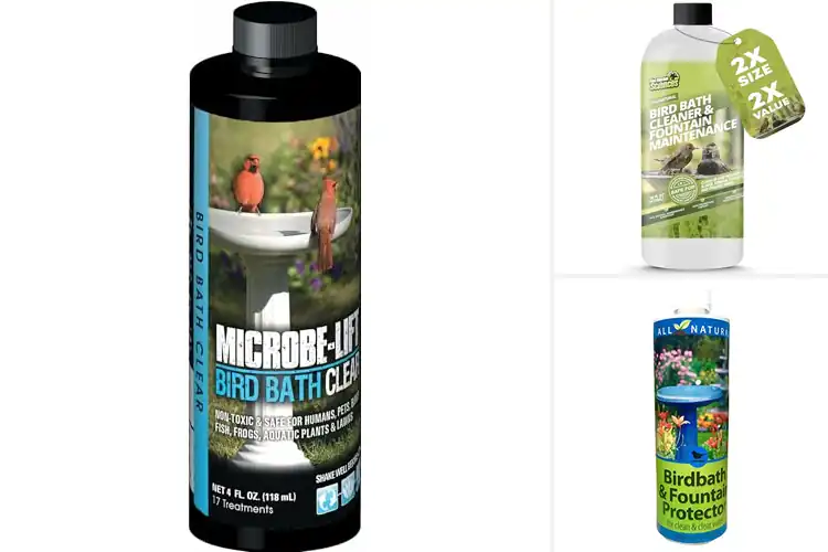 Detailed view of Best Safe Birdbath Treatments