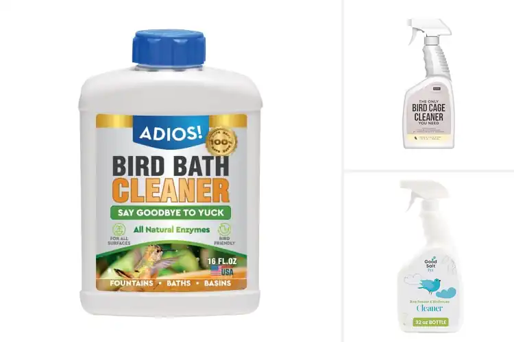 Detailed view of Best Safe For Birds And Wildlife Cleaner