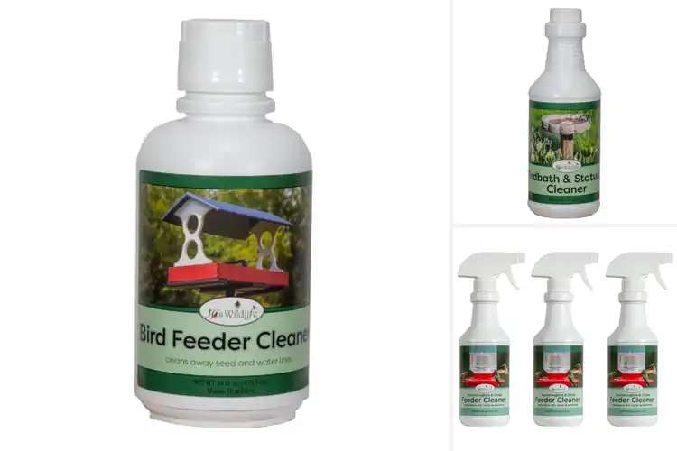 Detailed view of Best Safe For Wildlife Cleaners: 10 Eco-Friendly Picks