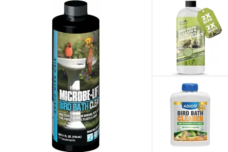 Detailed view of Best Weekly Bird Bath Cleaner