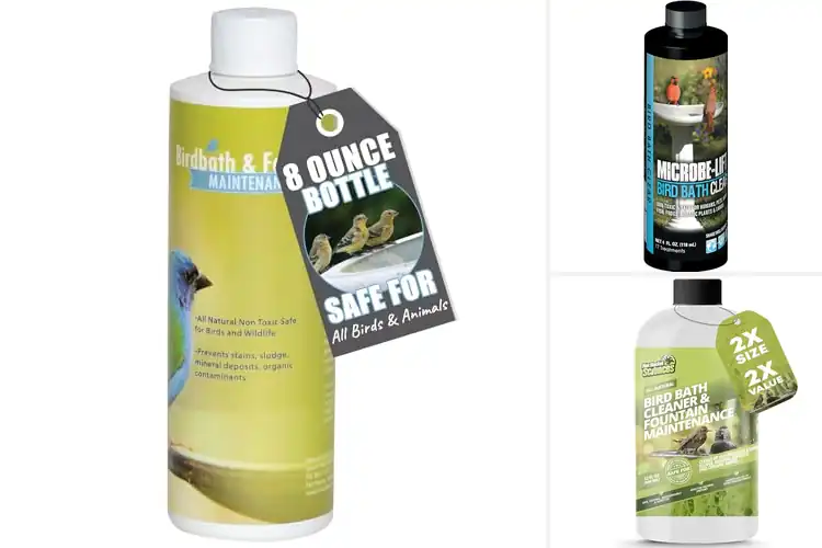 Detailed view of Best Weekly Bird Bath Treatments