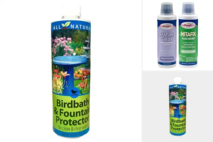 Detailed view of Best Weekly Birdbath Treatments